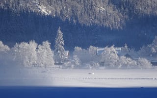 Картинка деревья, снег, дома
