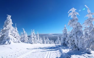 Картинка небо, дорога, снег, деревья