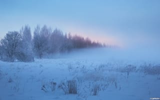 Картинка зима, Илья Гарбузов