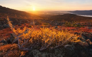 Картинка осень, горы, Михаил Туркеев, пейзаж