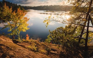 Картинка осень, лес, Карелия, озеро
