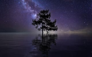 Картинка ночь, звезды, дерево, река