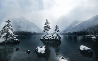 Обои горы, деревья, зима, лес, озеро, туман, снег