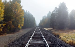 Картинка осень, туман, железная дорога