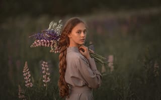 Картинка девушка, Олег Родин, поле, на природе, коса, длинные волосы, цветы