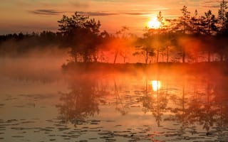 Картинка лето, Павел Ващенков, туман, утро, восход солнца