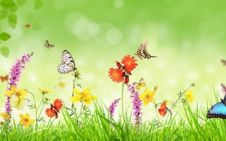 Картинка бабочки, цветы, фотошоп, весна, трава, растения