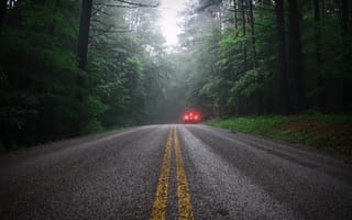 Картинка дождь, дорога, авто, туман
