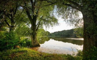 Картинка озеро, деревья, отражение