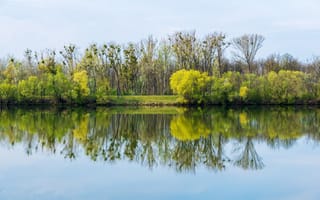 Обои озеро, отражение, деревья