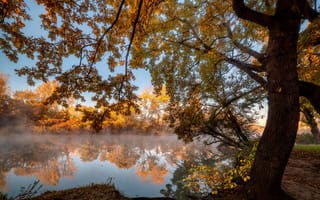 Картинка осень, деревья, природа, водоём, пейзаж, Александр Плеханов, берег