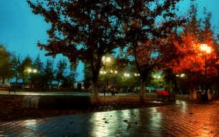 Картинка парк, фонари, деревья, осень