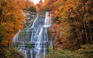 Обои водопад, лес, осень