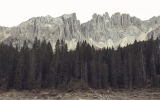 Картинка альпы, доломиты, предгорье, лес