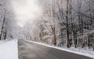 Картинка дорога, лес, снег