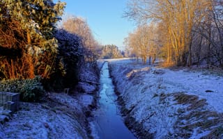 Картинка канал, деревья, снег