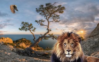 Картинка пейзаж, со львом