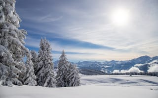 Картинка деревья, горы, снег
