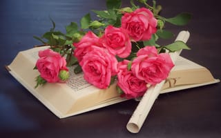 Картинка розы, книга