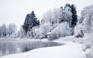 Картинка река, деревья, снег, домик