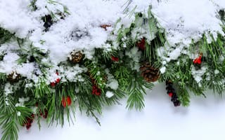 Картинка новогодние, атрибуты, праздник, зима