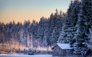 Картинка избушка, лес, снег