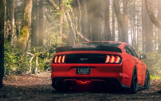 Картинка Ford, Mustang, Customs, Gt, Chicali