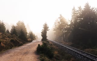 Картинка дорога, лес, железная дорога, туман