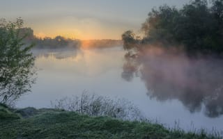 Картинка Александр Березуцкий, река, туман, Десна, деревья