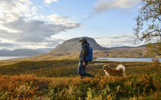 Картинка Autumn, Lapland, man, Finland, dog