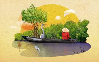Картинка boatman, Mangrove Plants, 