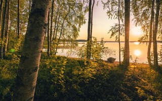 Картинка Lake Summanen, nature, Lapland, sunrise