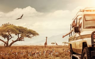 Картинка safari, animal, tourism, traveling, Africa