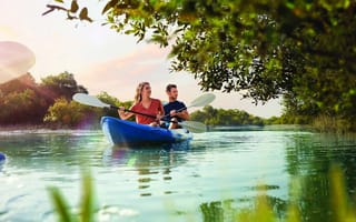 Картинка Mangrove National Park, UAE, kayak tour, Abu Dhabi