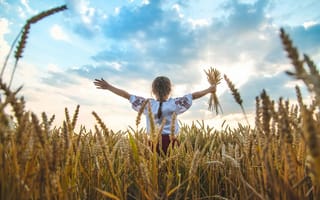 Картинка children, Ukraine, vyshyvanka, wheat field