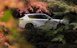 Картинка Mazda, SUV, Mazda CX-60, 2022