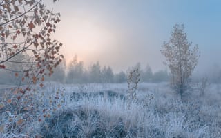 Картинка frosty morning, autumn, cold landscape, fog