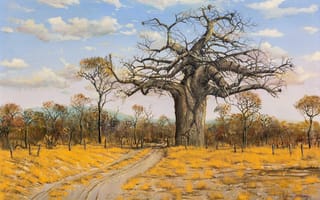Картинка Errol Norbury, South Africa, Bushveld Landscape With Baobab