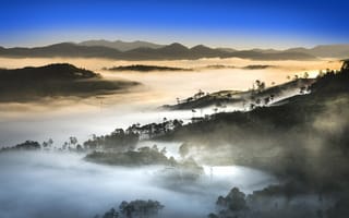 Картинка туман, джунгли, вьетнам, горы
