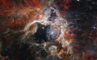 Картинка Tarantula Nebula, NASA, James Webb Space Telescope