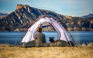Картинка Camping Near Los Angeles, travel, pet