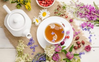 Картинка Chamomile, herbal tea, aromatic blend