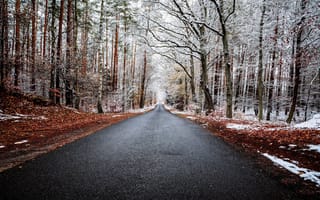 Картинка дорога, лес, зима