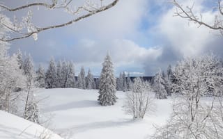 Картинка snow, Jura Vaudois Nature Park, winter, Switzerland