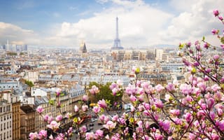 Картинка spring, Eiffel Tower, Paris, France