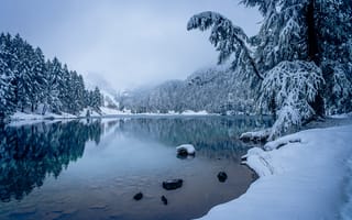 Картинка озеро, горное, снег, лес