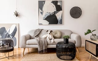 Картинка Japandi Living Room, Natural plants, grey couch