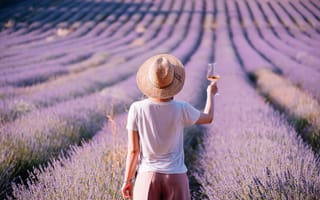 Картинка lavender field, Provence, France