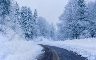 Картинка дорога, снег, деревья