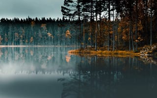 Картинка Lake In Forest, Skinnskatteberg, Sweden